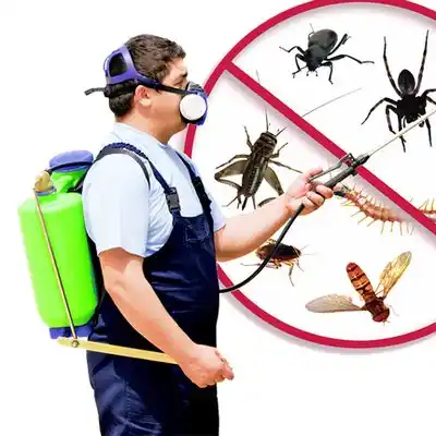 pest control Coushatta